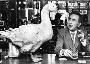 This goose likes a pint as well as the next man, but maybe he should buy his own This goose likes a pint as well as the next man, but maybe he should buy his own