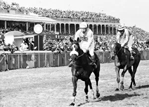 Horse Collection: The Grand National 1979. Rubstic and Maurice Barnes win the National