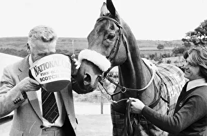 Grand National winner Red Rum with trainer Ginger McCain drinking from bucket 26th Grand National winner Red Rum with trainer Ginger McCain drinking from bucket 26th