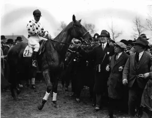 Grand National winner Watkinson up Jack Horner and Mr C Schwartz DM 1079a Box Grand National winner Watkinson up Jack Horner and Mr C Schwartz DM 1079a Box