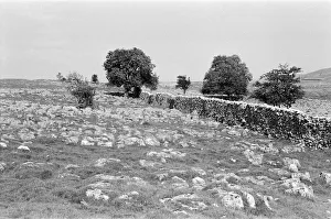 Grassington Moor, Yorkshire. September 1971 Grassington Moor, Yorkshire. September 1971