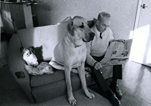 Great Dane called Hamlet shares the with owner Fred Philbey Great Dane called Hamlet shares the with owner Fred Philbey