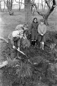 Hard at work on a new nature reserve are these Reinwood Junior School, Oakes Hard at work on a new nature reserve are these Reinwood Junior School, Oakes