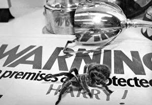 Harry the tarantula is the new member of the security team at West Denton High School Harry the tarantula is the new member of the security team at West Denton High School