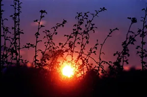 The harsh winter sun sets over Warwickshire on the A3400 The harsh winter sun sets over Warwickshire on the A3400