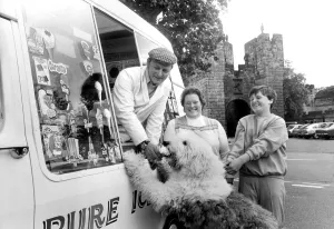Harvey the Old English Sheepdog enjoys his ice cream from Ray Wilsons van outside Alnwick Harvey the Old English Sheepdog enjoys his ice cream from Ray Wilsons van outside Alnwick