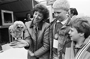 Images Dated 11th June 1988: Honley Show. A bird in the hand... Margaret Mottram, of the Thurlstone Owl Sanctuary