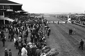 The horses for the Daily Mirror Womens Race are parade before the grandstand at Redcar The horses for the Daily Mirror Womens Race are parade before the grandstand at Redcar