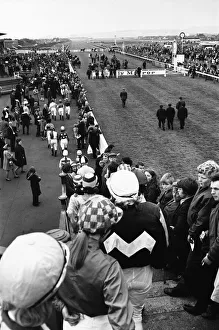 The horses and jockeys for the Daily Mirror Womens Race are parade before the grandstand The horses and jockeys for the Daily Mirror Womens Race are parade before the grandstand