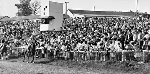 Horses and jockeys trot to the start watched by anxious race-goers at Hexham Racecourse Horses and jockeys trot to the start watched by anxious race-goers at Hexham Racecourse