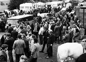 Horses and people are all crowded together at the Appleby Horse Fair in Westmorland Horses and people are all crowded together at the Appleby Horse Fair in Westmorland