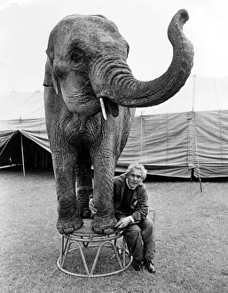 Indian elephant Sarah having her nails filed by her trainer Mr George Biddall of Sir Indian elephant Sarah having her nails filed by her trainer Mr George Biddall of Sir