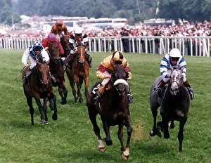 Indian Queen with jockey Walter Swinburn (noseband) winning the Gold Cup from Arzanni Indian Queen with jockey Walter Swinburn (noseband) winning the Gold Cup from Arzanni