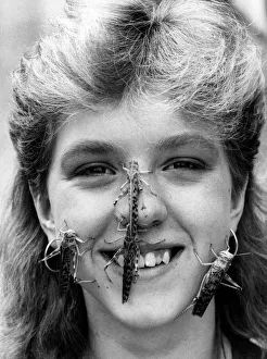 Insects: Locusts crawl over models face. April 1987 P008105 Insects: Locusts crawl over models face. April 1987 P008105