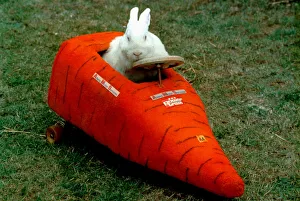 Inventor John Ward has built a car for his pet rabbit Eric. September 1996 Inventor John Ward has built a car for his pet rabbit Eric. September 1996