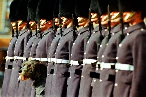 Mirror/0100to0199 00135/irish wolfhound march 1994 irish regiement Mirror/0100to0199 00135/irish wolfhound march 1994 irish regiement