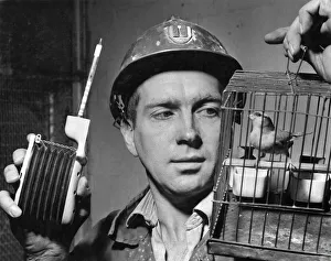 James Reynolds, aged 36.. with one of the canaries, one of the devices James Reynolds, aged 36.. with one of the canaries, one of the devices