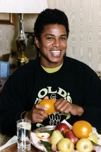 Jermaine Jackson American pop star brother of Michael Jackson DBase Jermaine Jackson American pop star brother of Michael Jackson DBase