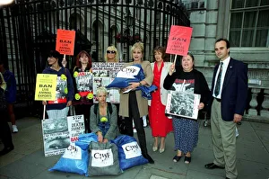 Mirror/0100to0199 00186/joanna lumley actress july 98 outside 10 downing Mirror/0100to0199 00186/joanna lumley actress july 98 outside 10 downing