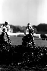 Jockey Geoff Harker rode Green Archer in the Comedy Of Errors Novice s' Jockey Geoff Harker rode Green Archer in the Comedy Of Errors Novice s'
