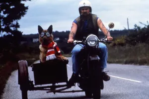John Smith and dog Shane on motorbike and sidecar circa 1995 John Smith and dog Shane on motorbike and sidecar circa 1995