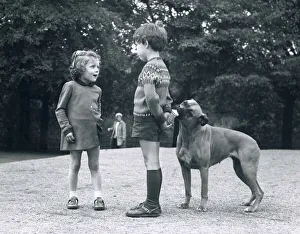 Judy the Boxer dog eats an ice cream being held behind the back of 5 year old Carlo Judy the Boxer dog eats an ice cream being held behind the back of 5 year old Carlo