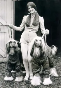 June Pickering gave up wearing trouser suits the moment hotpants became fashionable but June Pickering gave up wearing trouser suits the moment hotpants became fashionable but