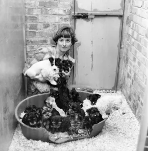 One of the kennel maids at a animal charity re-homing centre for unwanted One of the kennel maids at a animal charity re-homing centre for unwanted