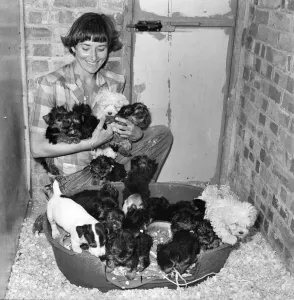 One of the kennel maids at a animal charity re-homing centre for unwanted One of the kennel maids at a animal charity re-homing centre for unwanted
