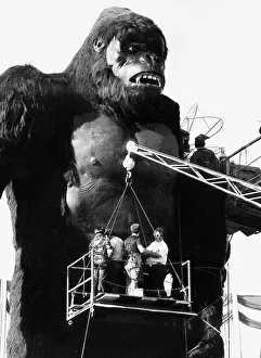 King Kong the sixty feet mechanical model and major star of the film King Kong in King Kong the sixty feet mechanical model and major star of the film King Kong in