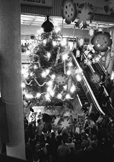 Late night shoppers admiring the giant Christmas tree and display following Reading' Late night shoppers admiring the giant Christmas tree and display following Reading'