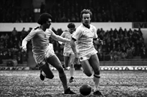 Leeds United 0 v. Tottenham Hotspur 0 . Decemebr 1981 MF04-04 Leeds United 0 v. Tottenham Hotspur 0 . Decemebr 1981 MF04-04