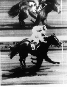 Lester Piggott on Roberto wins The Derby by a nose from Rheingold at Epsom Lester Piggott on Roberto wins The Derby by a nose from Rheingold at Epsom