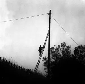 Lib - A cat climbed to the top of the pole on a railway embankment on Shields Road in Lib - A cat climbed to the top of the pole on a railway embankment on Shields Road in