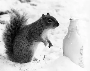 Life can be a chilling prospect these wintry days, especially for someone who' Life can be a chilling prospect these wintry days, especially for someone who'