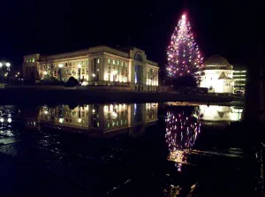 The lights of the newly switched on christmas tree, reflect in a puddle with Baskerville The lights of the newly switched on christmas tree, reflect in a puddle with Baskerville