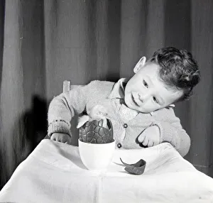Little boy with chick in chocolate Easter egg. Circa 1960 Little boy with chick in chocolate Easter egg. Circa 1960