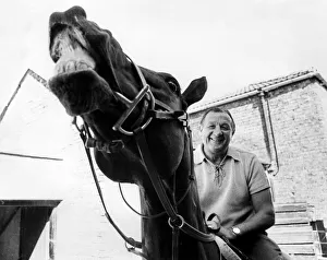 Liverpool manager Bob Paisley pictured on a racehorse at a racing stables. June 1976 Liverpool manager Bob Paisley pictured on a racehorse at a racing stables. June 1976
