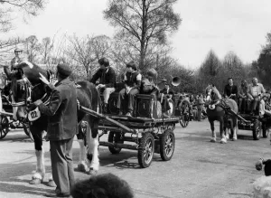 The London Harness Horse Parade in Regents Park. 122 welsh cobs Binn The London Harness Horse Parade in Regents Park. 122 welsh cobs Binn