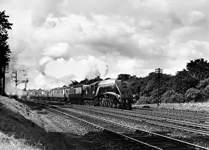The London North East Railway Class A4 4-6-2 steam locomotive 60032 Gannet heads The London North East Railway Class A4 4-6-2 steam locomotive 60032 Gannet heads