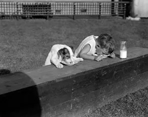 Love is sharing your breakfast This picture was taken sometime in the thirties by Love is sharing your breakfast This picture was taken sometime in the thirties by