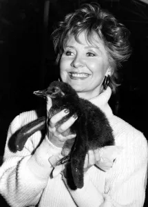 Lulu with her adopted penguin who lives at London Zoo. November 27th 1985 Lulu with her adopted penguin who lives at London Zoo. November 27th 1985