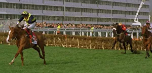 Make A Stand wins the Champion Hurdle at cheltenham Make A Stand wins the Champion Hurdle at cheltenham