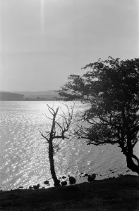Malham Tarn in Malhamdale in the Yorkshire Dales. September 1971 Malham Tarn in Malhamdale in the Yorkshire Dales. September 1971