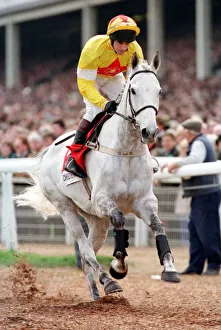 One Man and Brian Harding go to post for the 1998 Champion Chase at the Cheltenham One Man and Brian Harding go to post for the 1998 Champion Chase at the Cheltenham