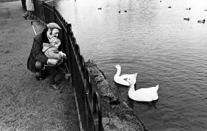 A man and child looking at birds in the lake at Albert Park, Middlesbrough A man and child looking at birds in the lake at Albert Park, Middlesbrough