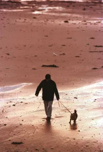 Man walking Dog on Beach in Aberdeen October 1999 Man walking Dog on Beach in Aberdeen October 1999