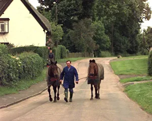 Man walking horses through the village of Offchurch in Warwickshire Man walking horses through the village of Offchurch in Warwickshire