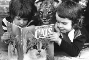 Mark and Adam Wilde and their pet Lion, Leo look at a book on Cats Mark and Adam Wilde and their pet Lion, Leo look at a book on Cats