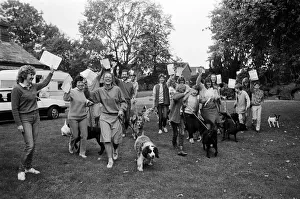 Mass walkies - twenty-four dogs and walkers took part in this sponsored walk at Beaumont Mass walkies - twenty-four dogs and walkers took part in this sponsored walk at Beaumont
